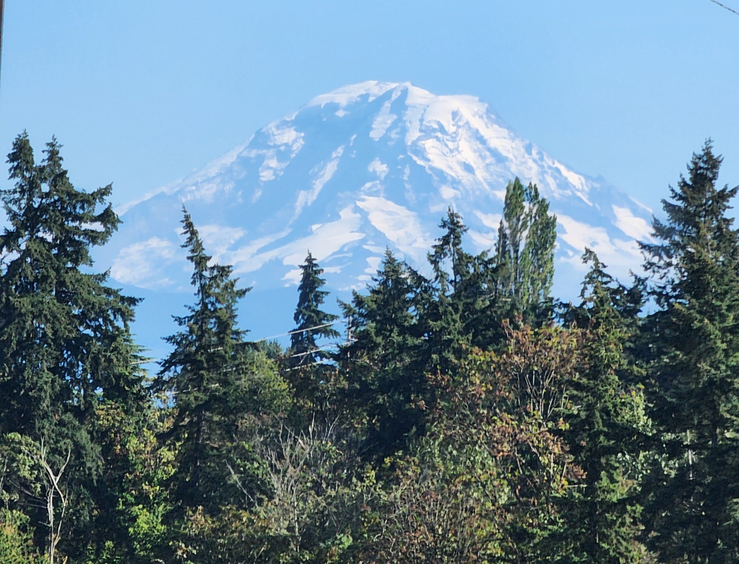 Distant mountain peak above trees, representing long-term effort and gradual change