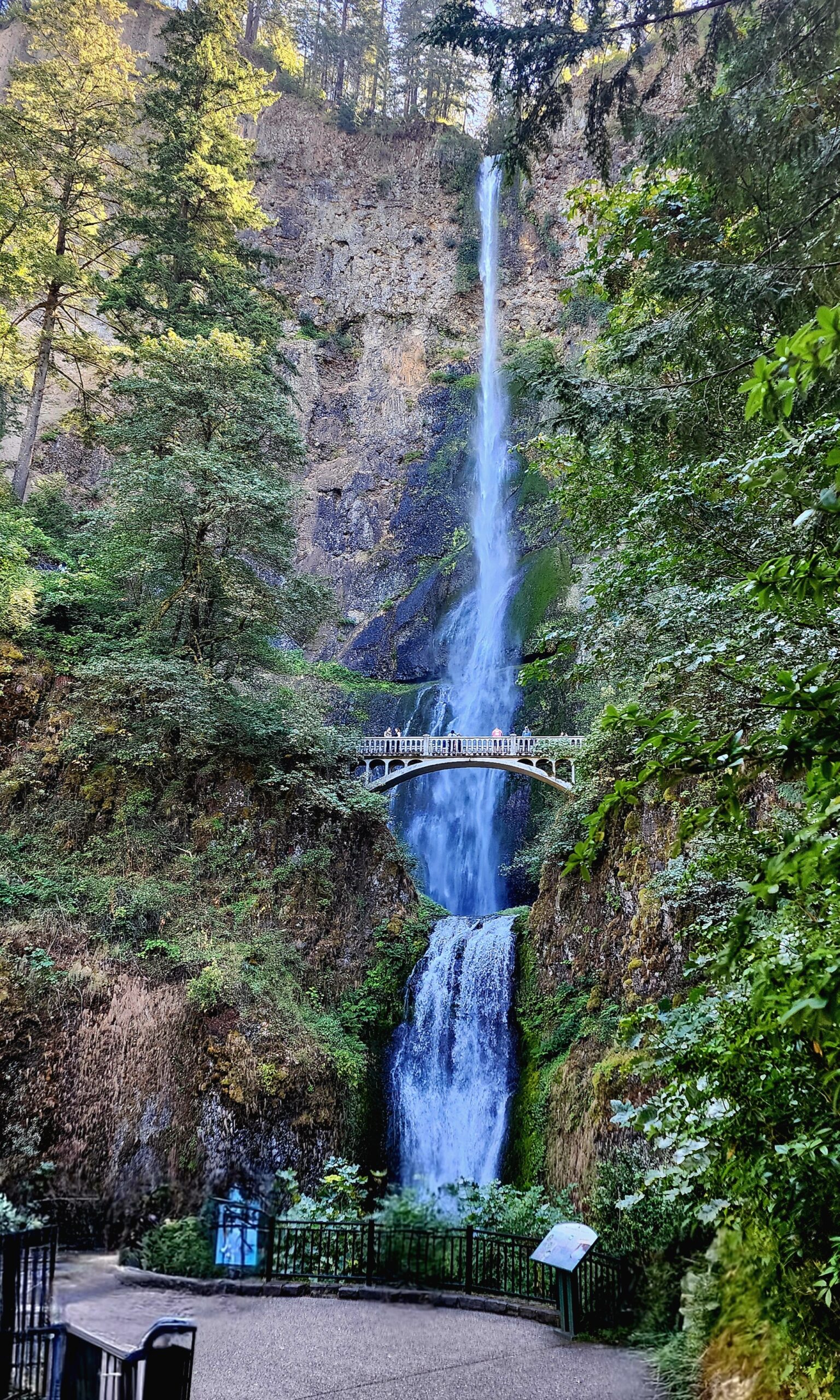 Waterfall: Multnomah Falls, Oregon