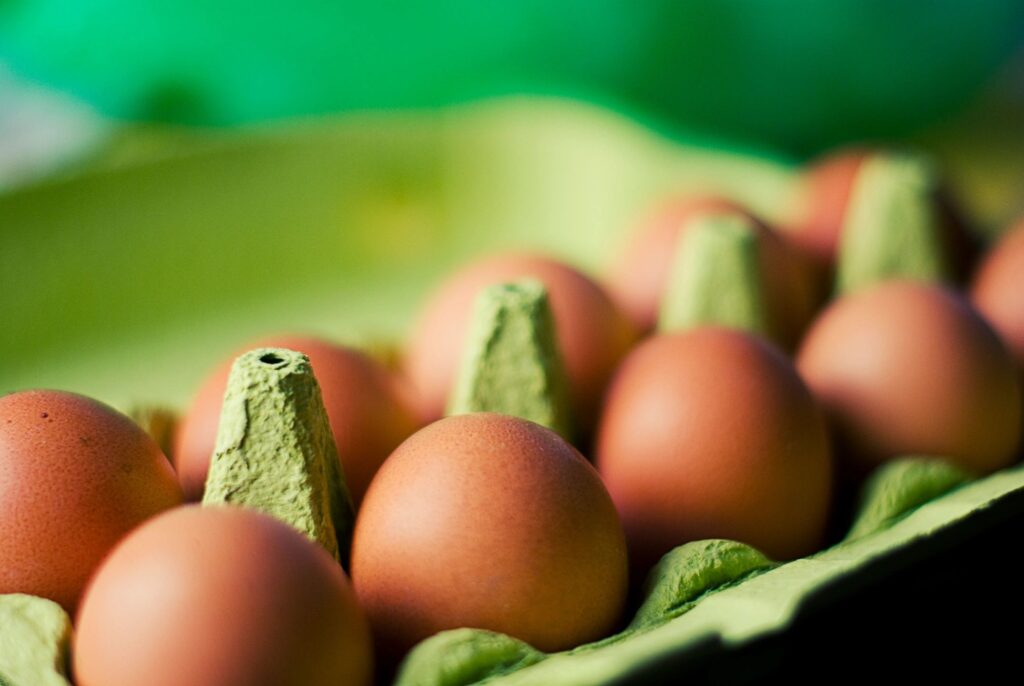 fresh eggs in a carton