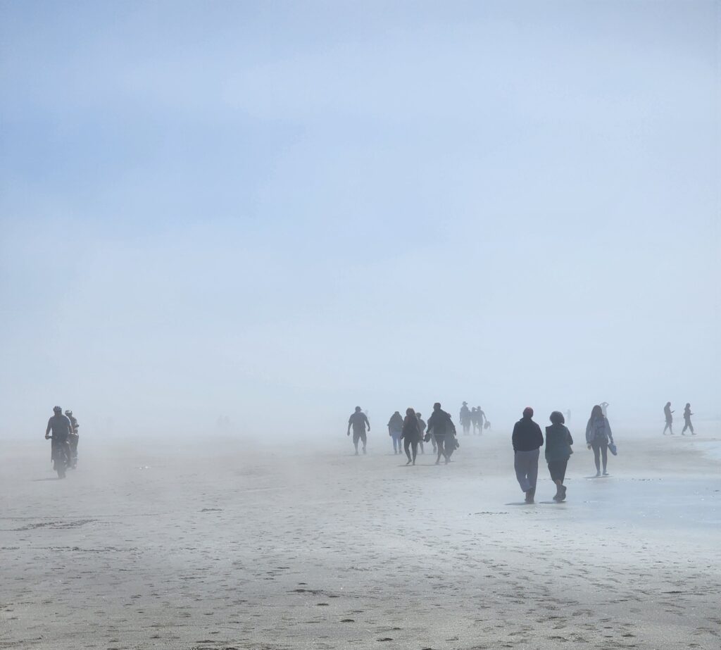 Cannon Beach Fog