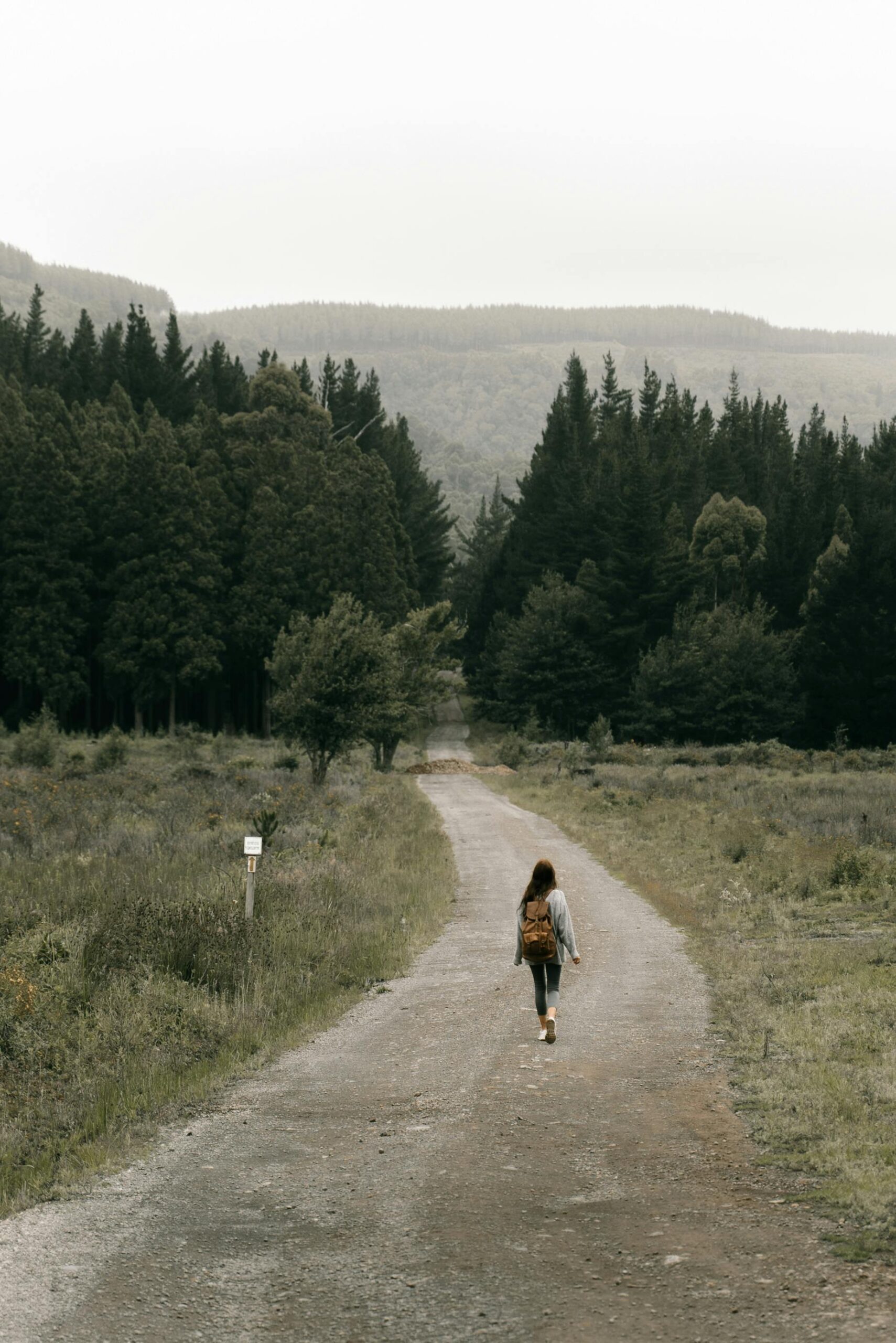 A woman walking a path, new adventures and new life path