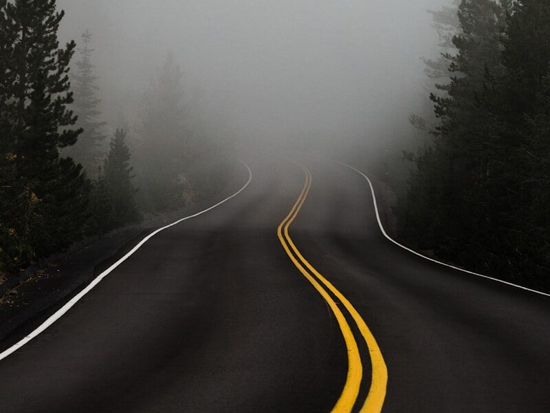 empty road surrounded with trees with fog