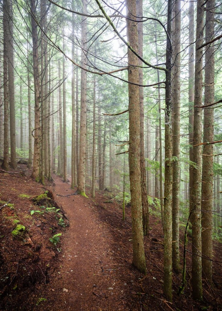 Even without all the answers, you can still take the next step.