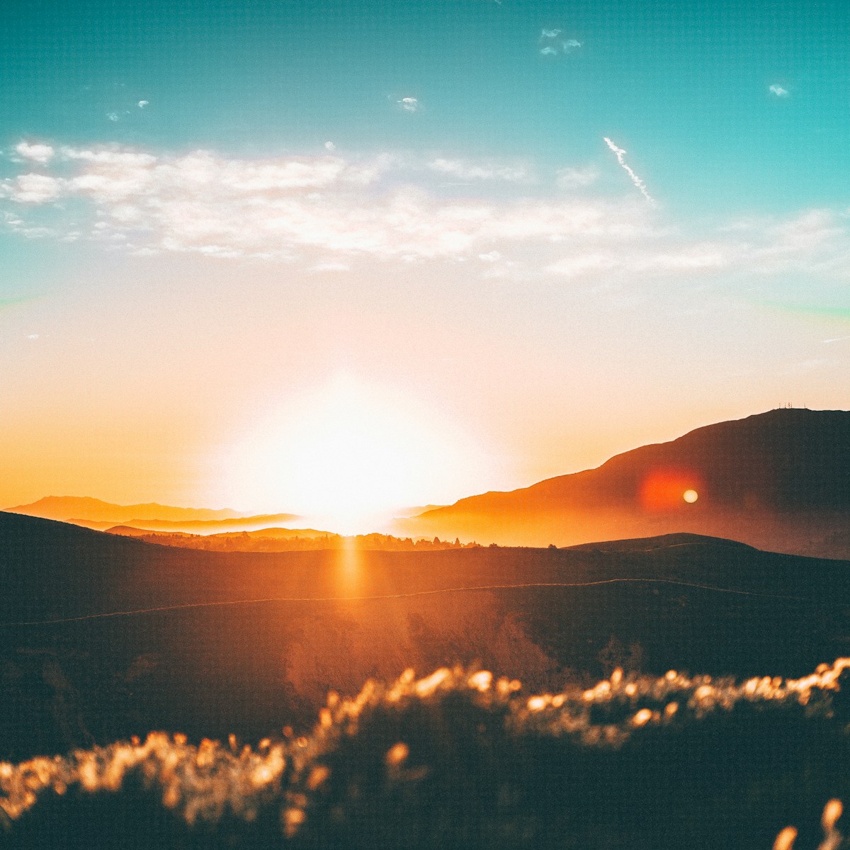 Morning light symbolizing hope, growth, and new beginnings after struggle