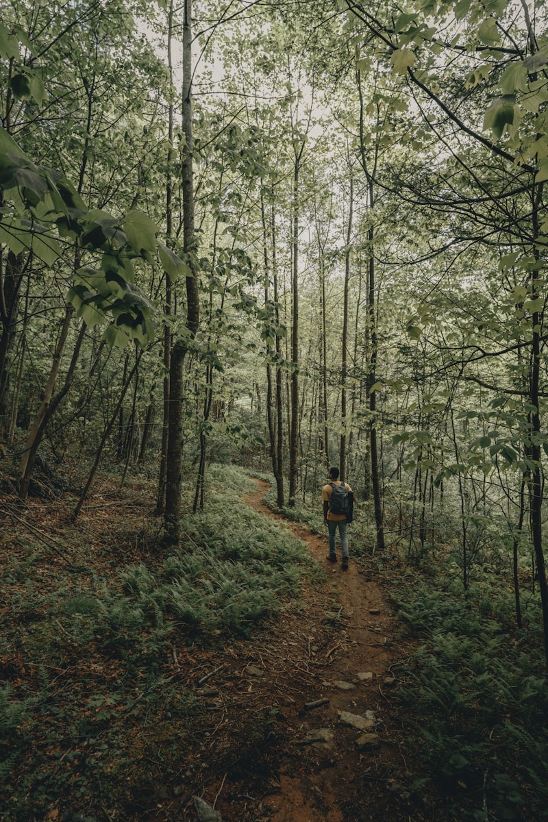 Woman walking forward on a winding trail, symbolizing resilience and moving forward after setbacks