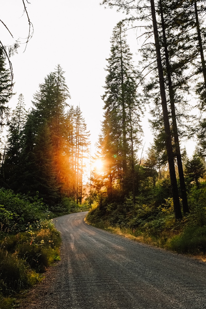 Fall reset wellness with fresh air, sunshine, and time outdoors