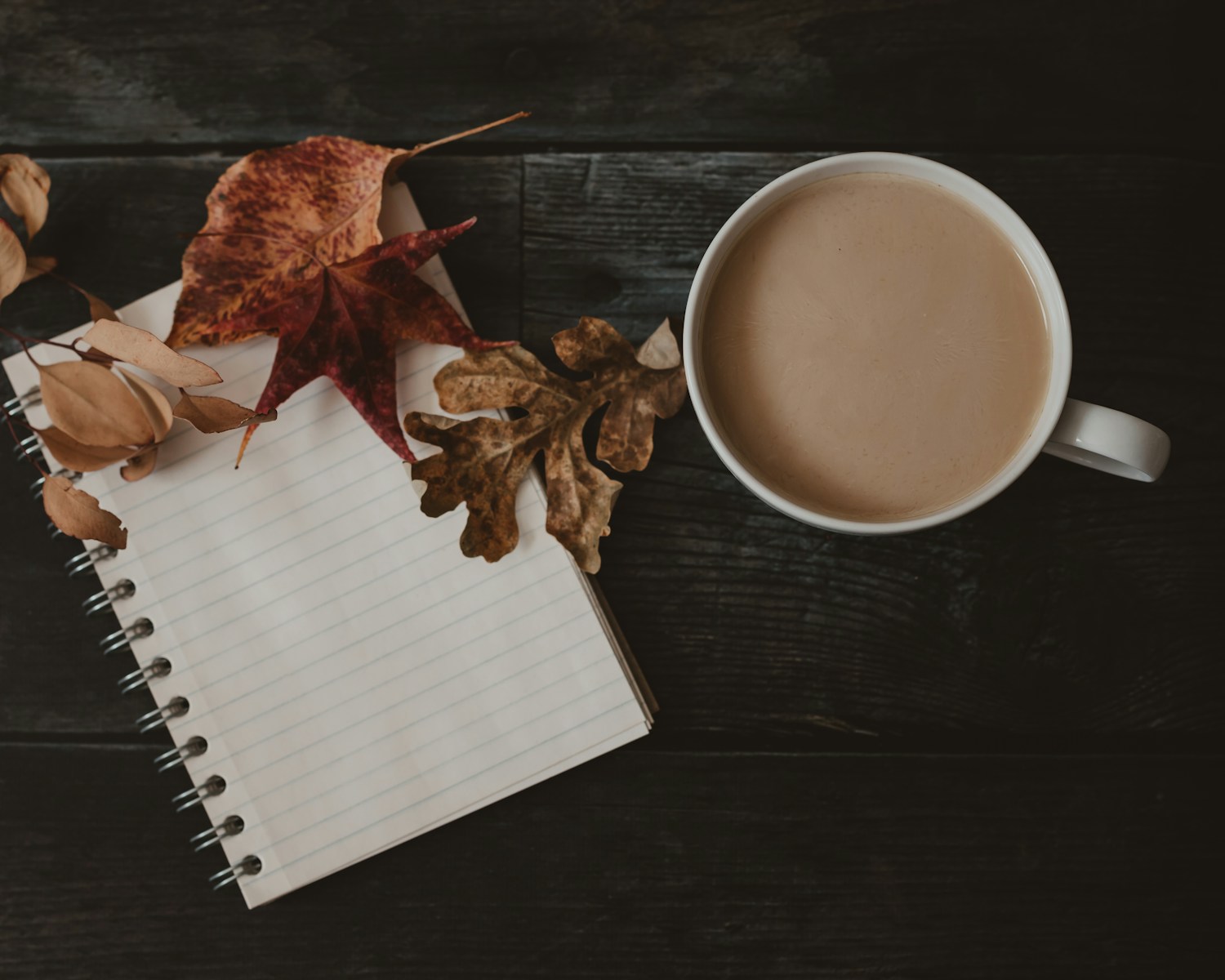 Fall reset journaling with coffee, notebook, and autumn leaves