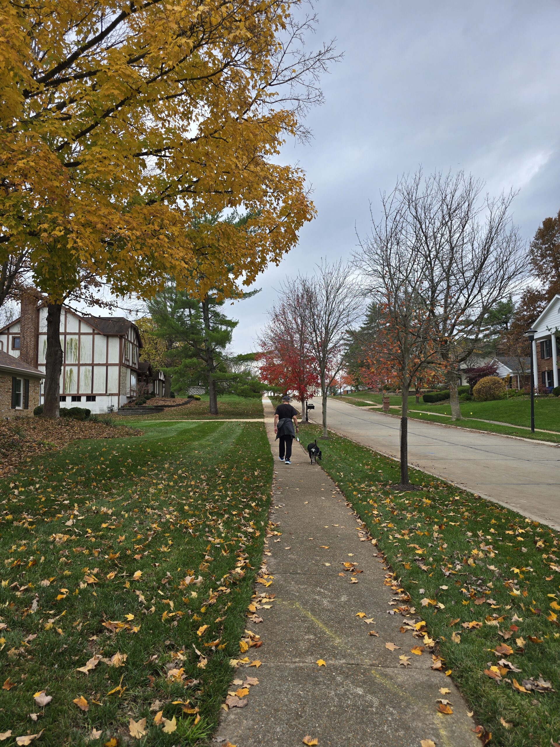 Quiet fall walking path covered in leaves with soft morning light, representing simple movement and seasonal reset.