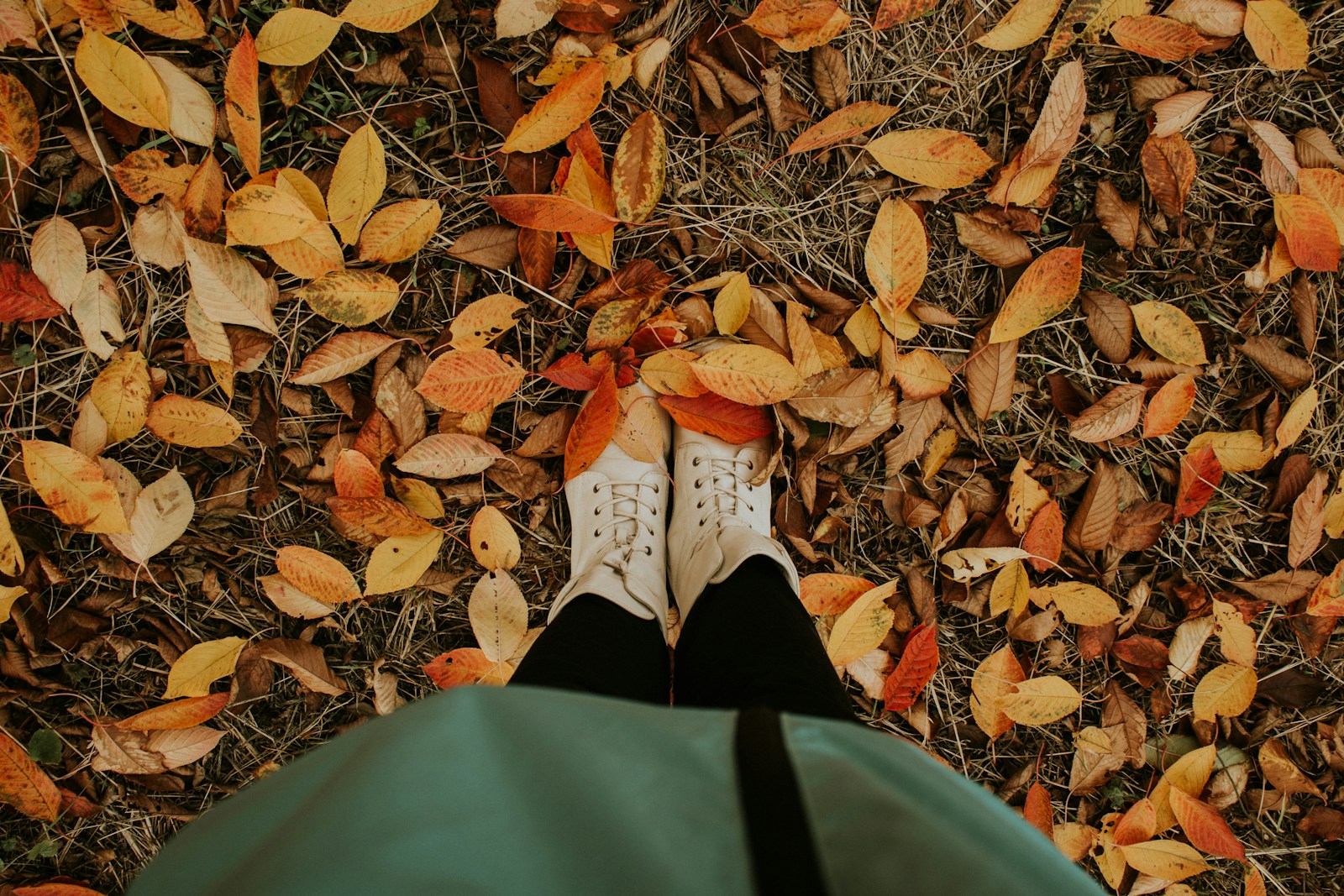 Close-up of fall boots walking through crunchy leaves on a quiet path, symbolizing gentle movement and everyday adventure.