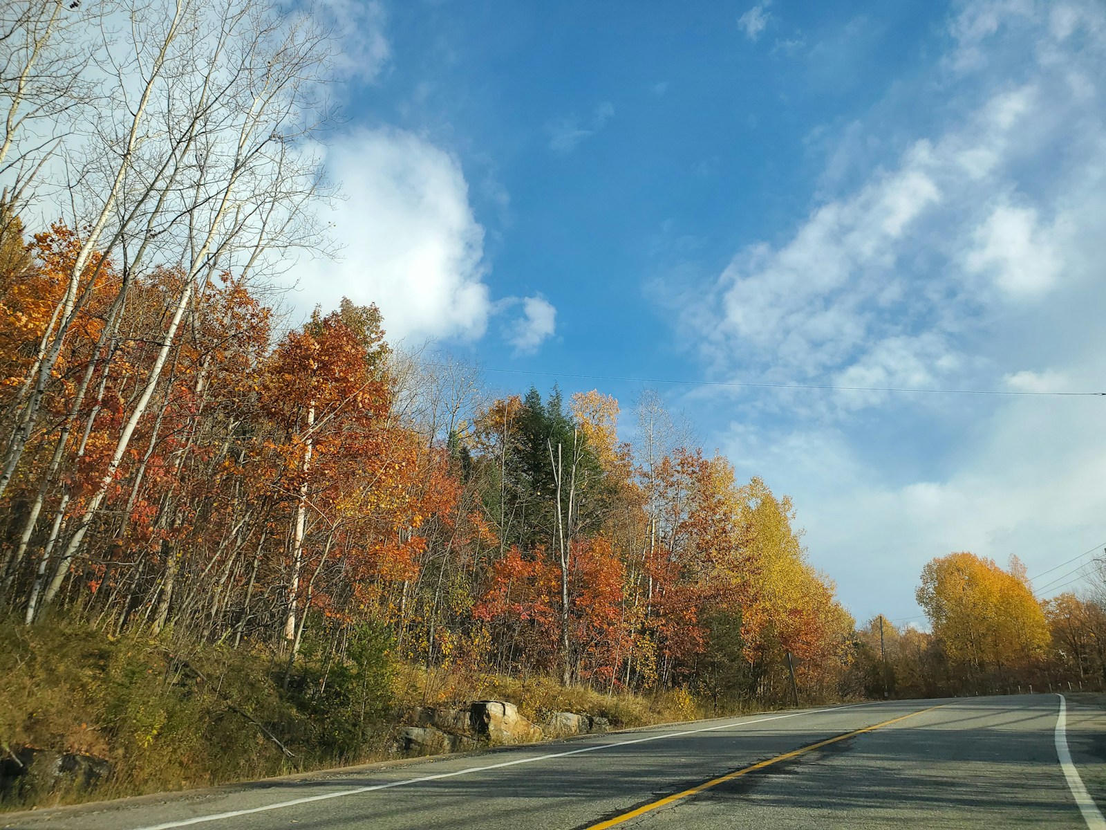 scenic fall highway with autumn trees and open road