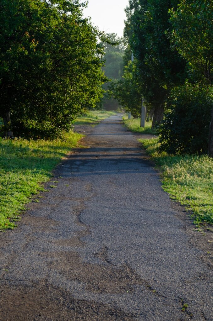 A quiet path in soft light, suggesting forward movement without urgency or destination.