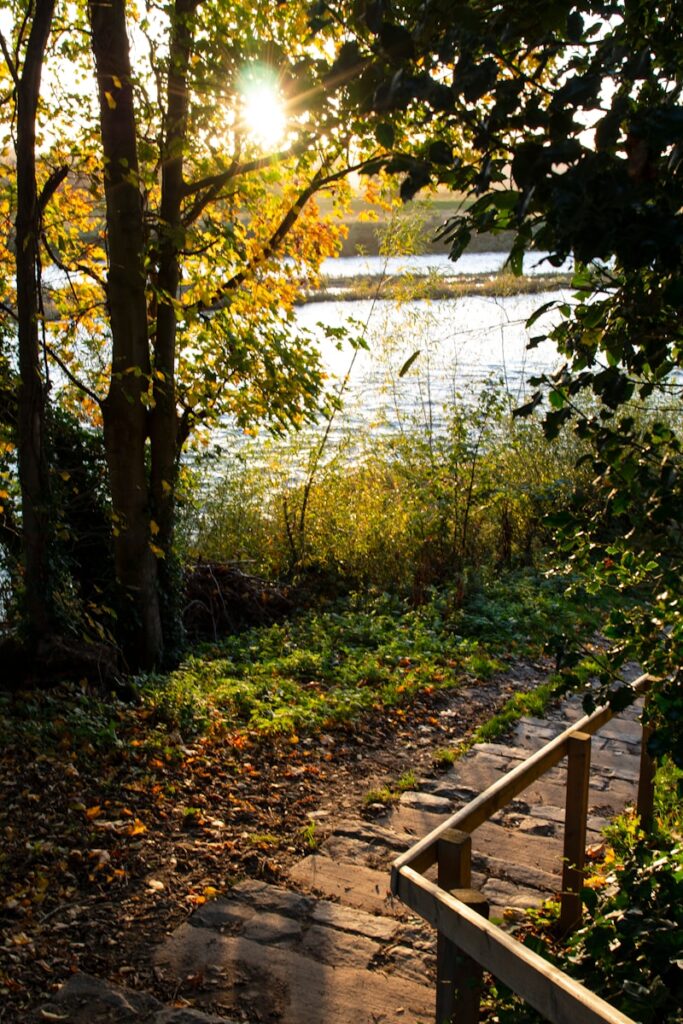 Sunlit walking path symbolizing calm, energy-building movement and a balanced approach to health.