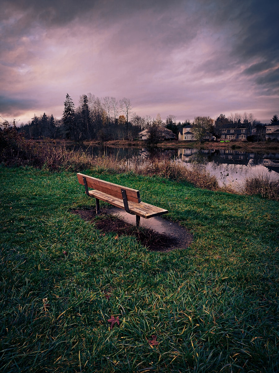 Empty park bench in soft morning light, representing choosing direction and staying present in everyday life.