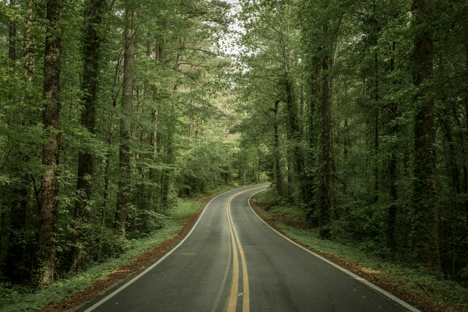 leaving town / road / quiet morning