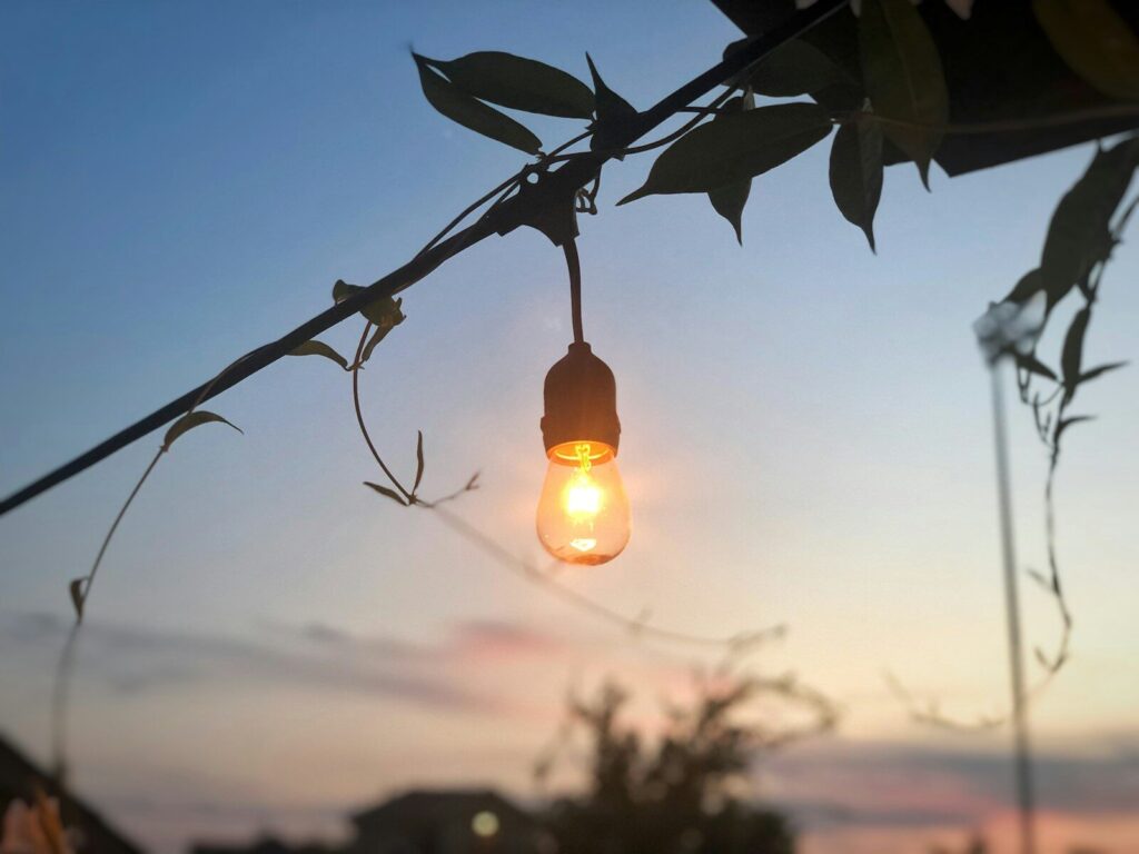 light bulb