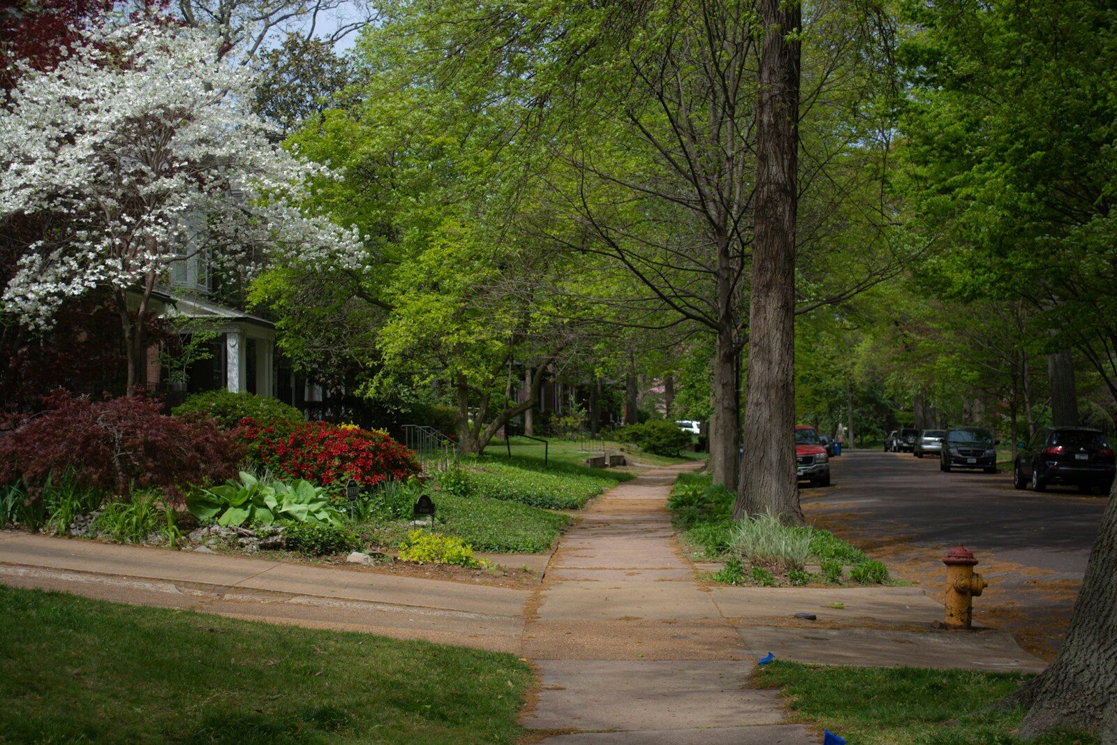 neighborhood walk reflecting on frictionless living and everyday presence
