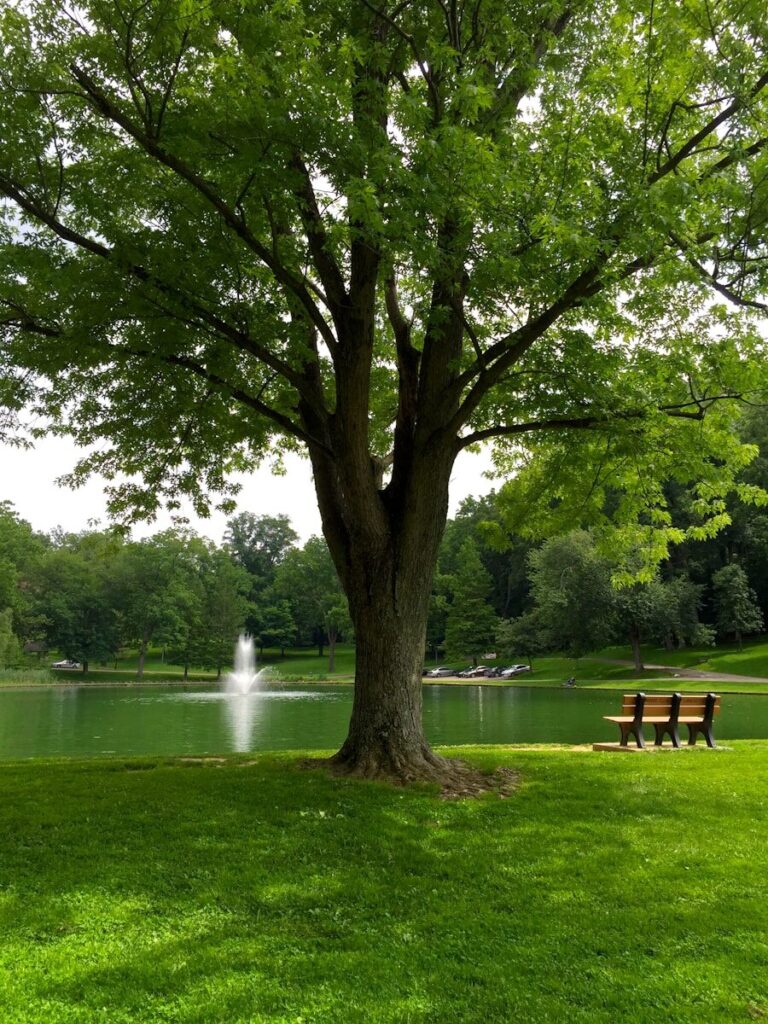 Quiet park bench in nature representing protected margin, spaciousness, and slowing down to create a more present and intentional day.