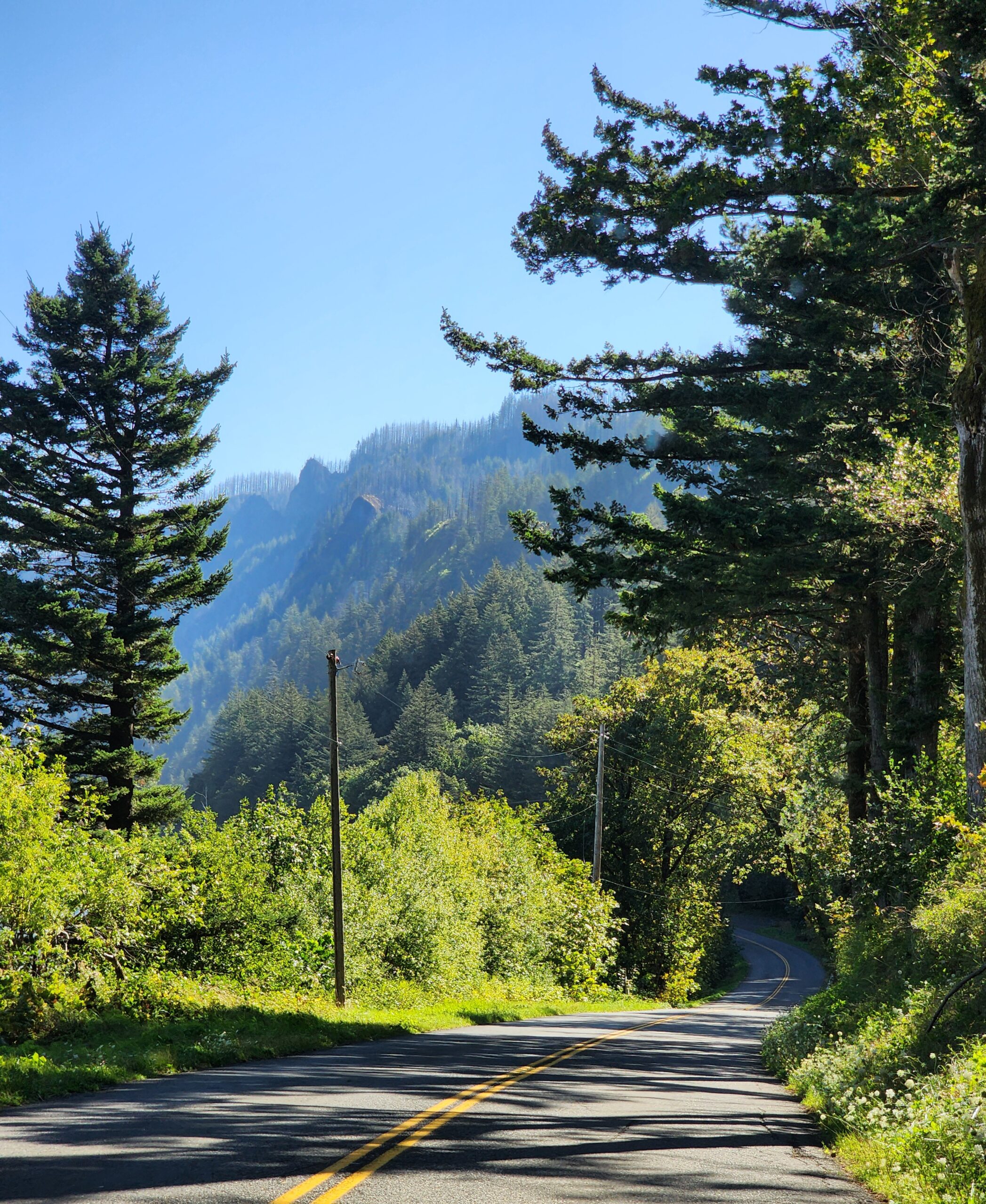 Scenic local road in soft morning light representing slow travel and turning an ordinary day into a meaningful getaway.