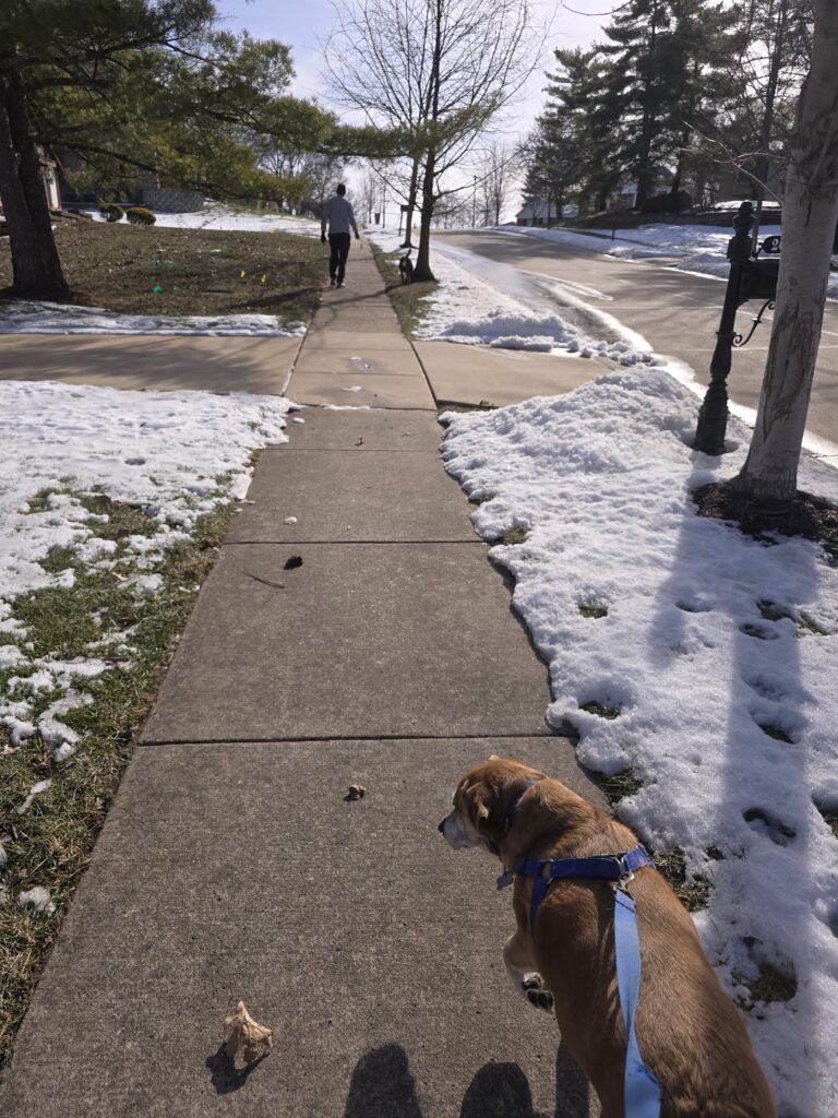 A quiet walk on a snowy sidewalk—building the capacity to use the life you already have.