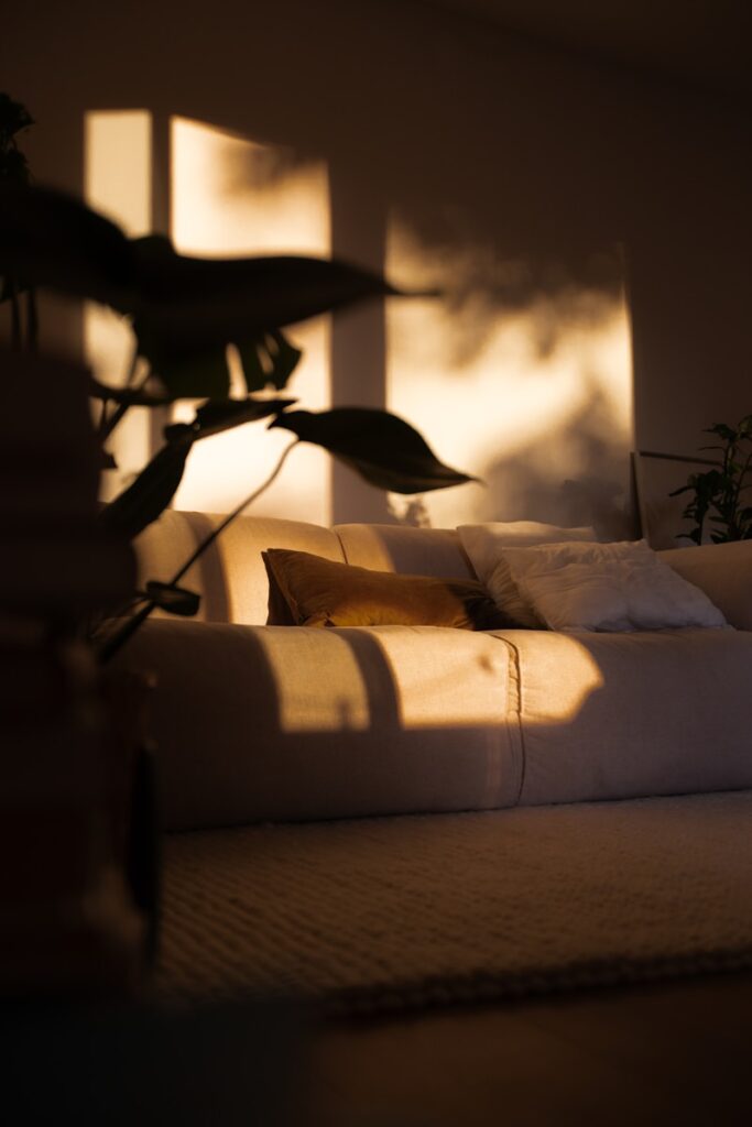 A low-light shot of shadows on a plant—choosing to pay attention and use the life you already have.
