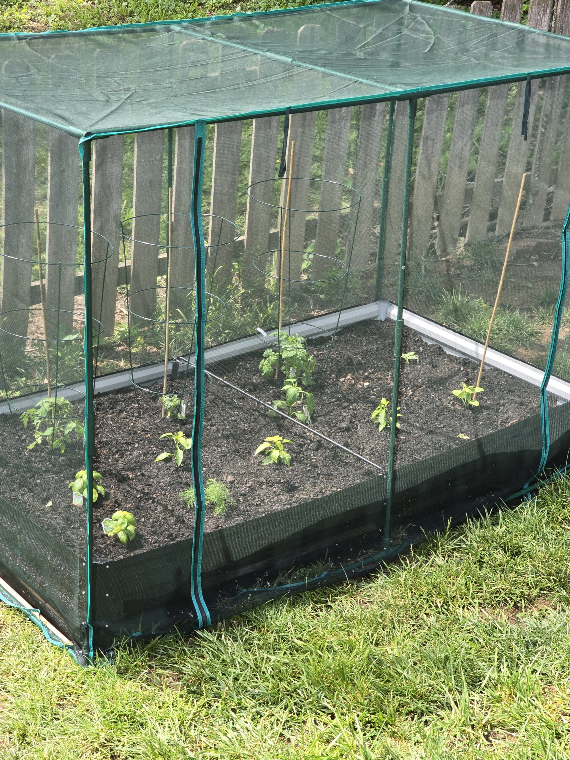 Raised garden beds — the satisfying work that actually got done this week.