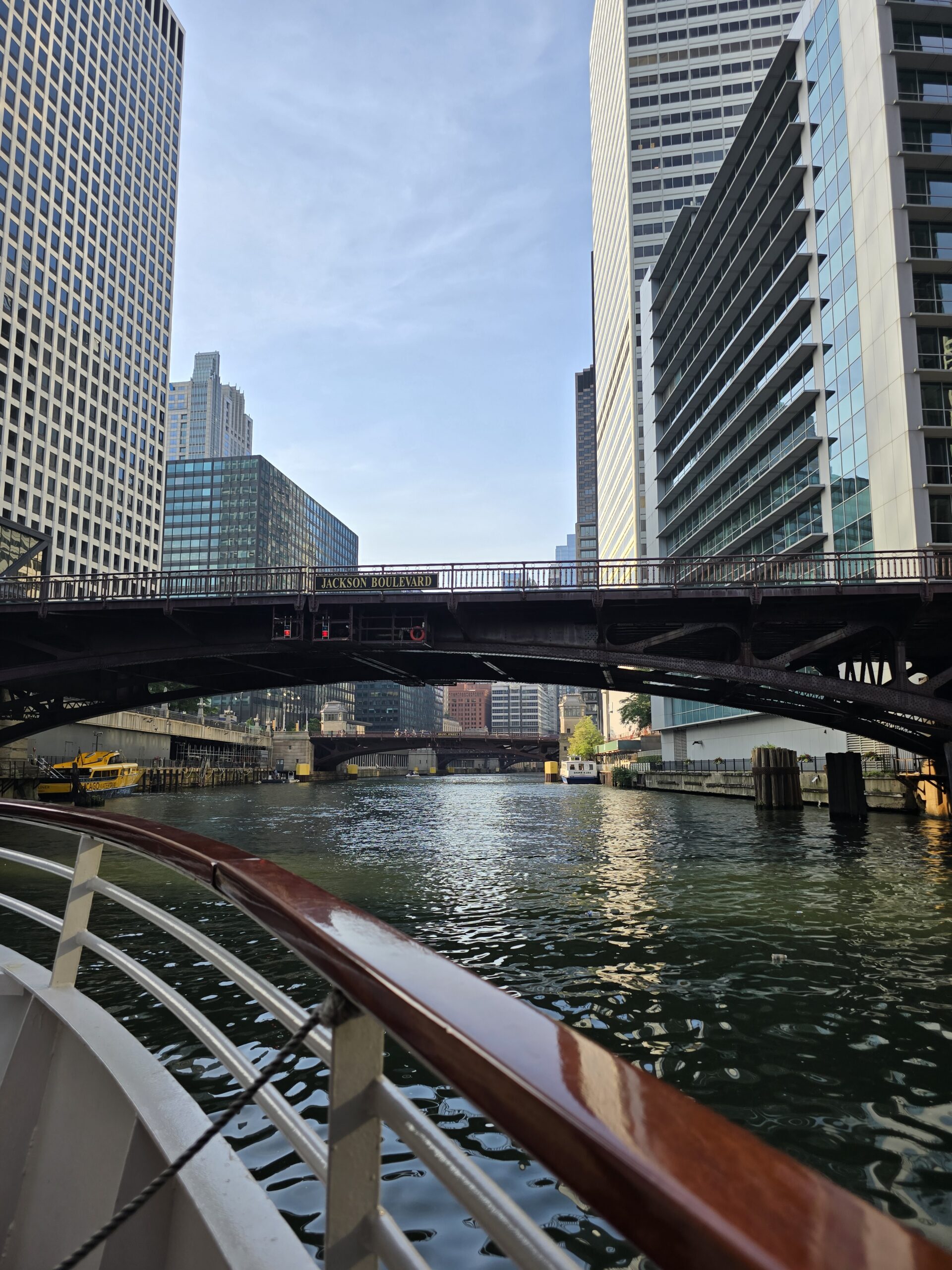 View of the Chicago skyline from the Chicago River during an architecture boat tour.