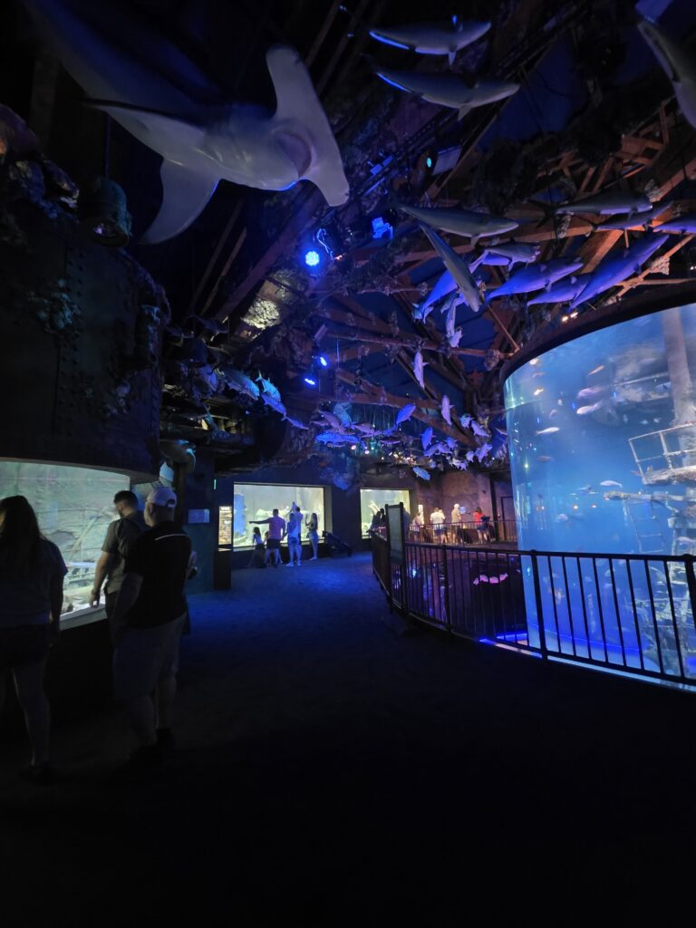 Wonders of Wildlife Aquarium in Springfield, Missouri
