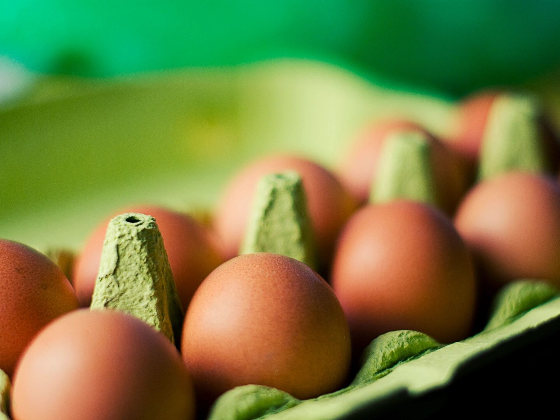 fresh eggs in a carton